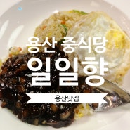 [용산 중식당,중국집] 신용산역 일일향 볶음밥 혼밥!