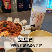 [은평] 안주가 맛있는 요리주점 모도리