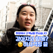 강아지와 함께 투룸 반포장이사 후기 : 분리불안 없이 비용·준비·작업 모두 클리어!