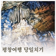 평창여름여행 광천선굴 어드벤처 테마파크 동굴 라벤다팜 라벤더 개화 당일치기 코스
