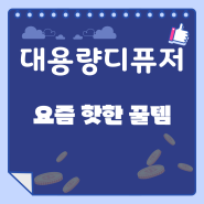 [대용량디퓨저] 헤트라스 프리미엄 대용량 디퓨저 선물세트, 플라워 샵, 500ml, 3개 솔직 사용후기