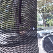 레이 자동차 창문 햇빛가리개 본투로드 사용후기