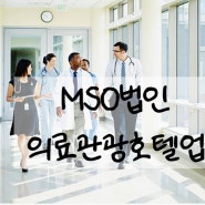 MSO법인과 의료관광호텔업