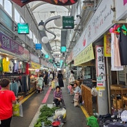 강원도강릉중앙시장구경하기[민돌아사랑해]