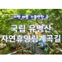 가평 여름 가볼만한 곳 국립 유명산 자연휴양림 계곡길- 박쥐소, 용소, 숲속의 집