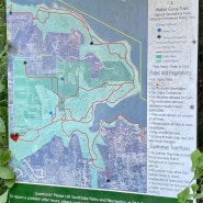 텍사스 달라스 포트워스 가볼만한 곳 공원 <Bob Jones Park> Lake Grapevine trails 호수 주변 산책로 /Southlake 고급주택가 드라이브