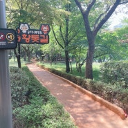 송파나루공원, 황톳길, 맨발걷기운동 시작!!!