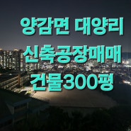 화성공장매매 양감면 대양리 신축건물300평 도로폭8미터 트레일러진입용이(공통령)