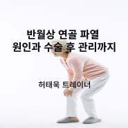 반월상 연골 파열 원인과 수술 후 관리는?