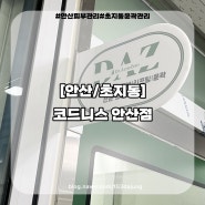 안산윤곽관리 코드니스 안산점