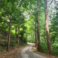 계족산 황톳길, 산디마을 출발