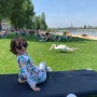 오스트리아 비엔나13일차(29일째): 알테 도나우 수영장(현지인들처럼 여름 즐기기?!)