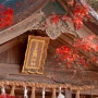 [일본여행] 후쿠오카 여행 ep.09_다자이후 가을단풍 다자이후텐만구 카마도신사 사이후우동 다자이후오모테산도 우메가에모찌