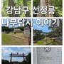 강남구 왕릉인 선정릉에 식재된 나무이야기