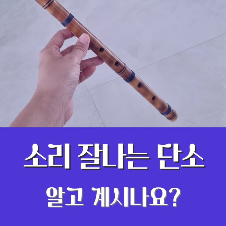 5학년 단소 잘 부는 법 악기 종류마다 소리내기 다를까? : 네이버 블로그