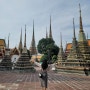태국 방콕 패키지여행 왓포사원 후기 (입장료, 복장, 투어)