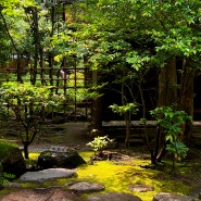 후쿠오카 하카타 근처 가볼만한 작은 정원 : 라쿠스이엔