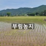 의령부림면부동산 위치좋은 의령농지 매매