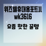 [위즈웰휴대용포트1lwk3616] 위즈웰 접이식 전기포트 1L, WK3616 솔직 사용후기