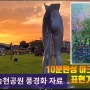 25년간 폐허의땅 송현공원 풍경,송현광장 풍경 드로잉, 유튜브 4천시간 달성 축하