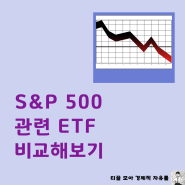 미국 S&P500 ETF 수익률 수수료 배당 비교! SPY VOO IVV SPLG