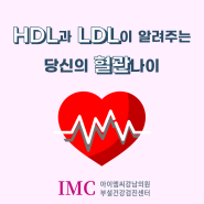 건강검진 결과지의 비밀: HDL과 LDL이 알려주는 당신의 혈관 나이