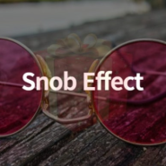 스노브효과 (snob effect)