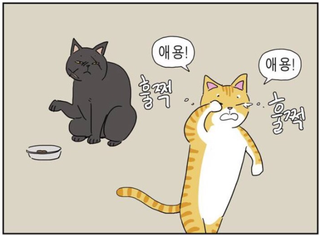 당위는 아무 도움이 안 된다