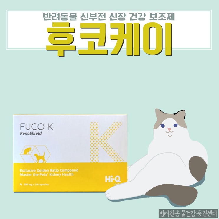 반려동물 신부전 신장 영양 보조제 후코케이 [FUCO K] : 네이버 블로그
