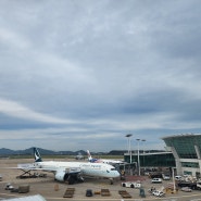 고령 대구 경산 청도 김포공항 인천공항 콜밴 대형택시 기사포함 렌트카 복잡하지 않게 가보고 싶었다면