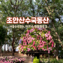 서울 초안산 수국동산 평상 피크닉존 맨발 황톳길 포토존