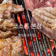 [부산 범일] 코소롱 본점 | 제주 참숯 생고기 전문점 범일동고기집 추천