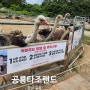 경남 고성 아이와가볼만한곳 공룡타조랜드 먹이주기체험