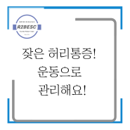 [인천송도PT, 허리디스크,인천허리재활]잦은 허리통증! 운동으로 관리해요!