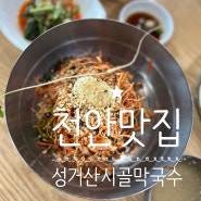 천안 성거읍 맛집 추천! 여름별미 '성거산 시골막국수'