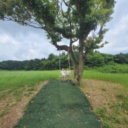 제주도 아침미소목장 제주목장카페 아이와 제주도 가볼만한 곳