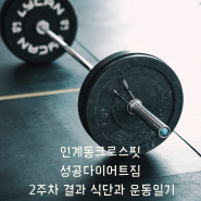 인계동크로스핏 성공다이어트짐 2주 차 결과 식단과 운동일기