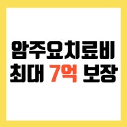 암주요치료비 중입자 항호르몬치료 다 되는 암치료 보험