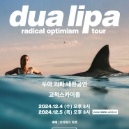 내한소식 ｜ 두아리파 내한 공연 소식 정보📢(feat. 고척스카이돔 공연✨/dua lipa radical optimism tour💖)