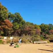 [인천] 도림동 반디세상 초등학생 어린이 야외 숲놀이터 입장료 할인 주차 정보