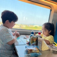 KTX 유아동반석 예매 예약 아기랑 기차여행 꿀팁