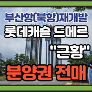 롯데캐슬드메르] 생활숙박시설 북항 재개발 근황 / 분양권 전매 정보