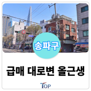 송파구 석촌호수 대로변 올근생 빌딩 급매 매물ㅣ시세이하 전체명도 가능한 만실 서울빌딩매매