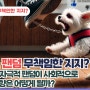 애견훈련사 동물학대 논란? 유튜브 팬덤의 무책임한 지지(강아지(애견훈련))