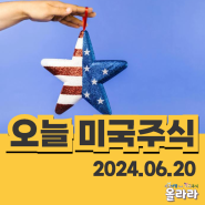 오늘 6월 20일 미국주식 네마녀의날 시총 엔비디아 테슬라