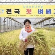 '2024년 임금님표 이천쌀' 전국 첫 벼베기 행사