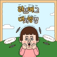 러브버그(사랑벌레) 대처 방법 알아보자!