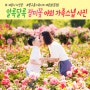 대전, 세종 가족스냅 사진 결혼 10주년 기념 야외 가족사진 촬영 후기 With 꽃구름스튜디오