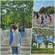 서울 여름 가볼만한곳 바닥분수 서울숲 놀거리 당일치기 물놀이
