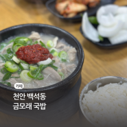 천안24시간국밥 배달가능한 백석동금모래 (feat. 간, 허파 무제한 맛집)